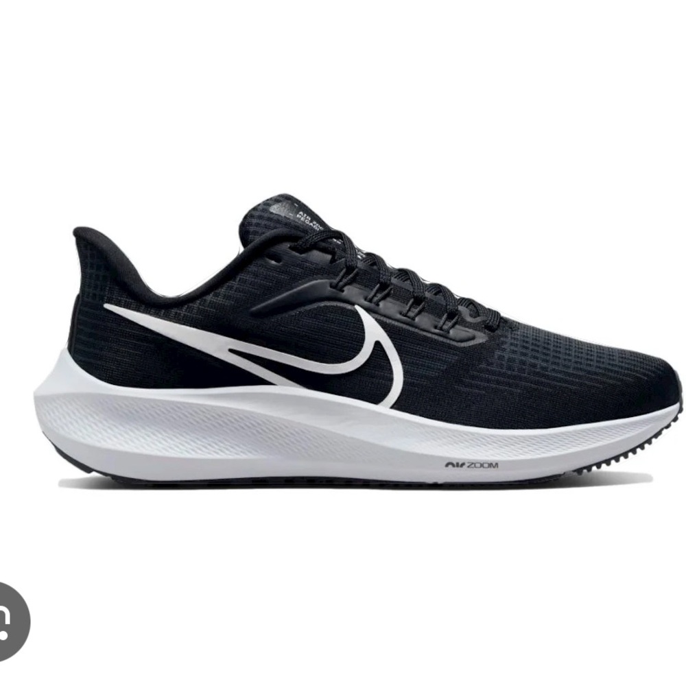 Nike pegasus